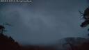 ./images/calvert/fitz-hugh-hecate/20250524/fitz-hugh-hecate20250524_215508M.jpg