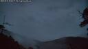 ./images/calvert/fitz-hugh-hecate/20250524/fitz-hugh-hecate20250524_220007M.jpg