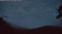 ./images/calvert/fitz-hugh-hecate/20250524/fitz-hugh-hecate20250524_220508M.jpg