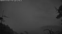 ./images/calvert/fitz-hugh-hecate/20250524/fitz-hugh-hecate20250524_221008M.jpg