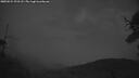 ./images/calvert/fitz-hugh-hecate/20250524/fitz-hugh-hecate20250524_221507M.jpg