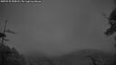 ./images/calvert/fitz-hugh-hecate/20250525/fitz-hugh-hecate20250525_050008M.jpg
