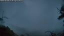 ./images/calvert/fitz-hugh-hecate/20250525/fitz-hugh-hecate20250525_050506M.jpg