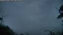 ./images/calvert/fitz-hugh-hecate/20250525/fitz-hugh-hecate20250525_051009M.jpg