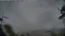./images/calvert/fitz-hugh-hecate/20250525/fitz-hugh-hecate20250525_054009M.jpg