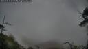 ./images/calvert/fitz-hugh-hecate/20250525/fitz-hugh-hecate20250525_054506M.jpg