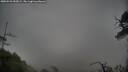 ./images/calvert/fitz-hugh-hecate/20250525/fitz-hugh-hecate20250525_055009M.jpg