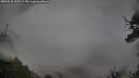 ./images/calvert/fitz-hugh-hecate/20250525/fitz-hugh-hecate20250525_055508M.jpg