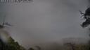 ./images/calvert/fitz-hugh-hecate/20250525/fitz-hugh-hecate20250525_060010M.jpg