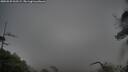 ./images/calvert/fitz-hugh-hecate/20250525/fitz-hugh-hecate20250525_062509M.jpg