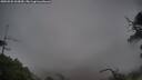 ./images/calvert/fitz-hugh-hecate/20250525/fitz-hugh-hecate20250525_063010M.jpg