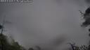 ./images/calvert/fitz-hugh-hecate/20250525/fitz-hugh-hecate20250525_063508M.jpg