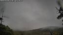 ./images/calvert/fitz-hugh-hecate/20250525/fitz-hugh-hecate20250525_064507M.jpg