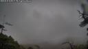 ./images/calvert/fitz-hugh-hecate/20250525/fitz-hugh-hecate20250525_065009M.jpg
