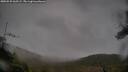 ./images/calvert/fitz-hugh-hecate/20250525/fitz-hugh-hecate20250525_065509M.jpg