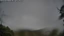 ./images/calvert/fitz-hugh-hecate/20250525/fitz-hugh-hecate20250525_072010M.jpg