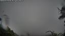 ./images/calvert/fitz-hugh-hecate/20250525/fitz-hugh-hecate20250525_072509M.jpg