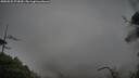 ./images/calvert/fitz-hugh-hecate/20250525/fitz-hugh-hecate20250525_073010M.jpg