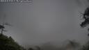 ./images/calvert/fitz-hugh-hecate/20250525/fitz-hugh-hecate20250525_073509M.jpg