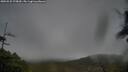 ./images/calvert/fitz-hugh-hecate/20250525/fitz-hugh-hecate20250525_075010M.jpg