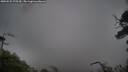 ./images/calvert/fitz-hugh-hecate/20250525/fitz-hugh-hecate20250525_075510M.jpg