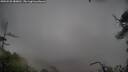 ./images/calvert/fitz-hugh-hecate/20250525/fitz-hugh-hecate20250525_080011M.jpg