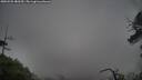 ./images/calvert/fitz-hugh-hecate/20250525/fitz-hugh-hecate20250525_080509M.jpg