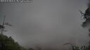 ./images/calvert/fitz-hugh-hecate/20250525/fitz-hugh-hecate20250525_081008M.jpg