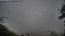 ./images/calvert/fitz-hugh-hecate/20250525/fitz-hugh-hecate20250525_084009M.jpg