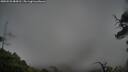 ./images/calvert/fitz-hugh-hecate/20250525/fitz-hugh-hecate20250525_084510M.jpg
