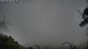 ./images/calvert/fitz-hugh-hecate/20250525/fitz-hugh-hecate20250525_085010M.jpg