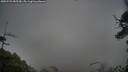 ./images/calvert/fitz-hugh-hecate/20250525/fitz-hugh-hecate20250525_085510M.jpg