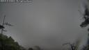 ./images/calvert/fitz-hugh-hecate/20250525/fitz-hugh-hecate20250525_090010M.jpg