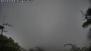 ./images/calvert/fitz-hugh-hecate/20250525/fitz-hugh-hecate20250525_090509M.jpg