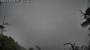 ./images/calvert/fitz-hugh-hecate/20250525/fitz-hugh-hecate20250525_091010M.jpg