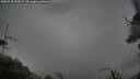 ./images/calvert/fitz-hugh-hecate/20250525/fitz-hugh-hecate20250525_092008M.jpg