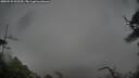 ./images/calvert/fitz-hugh-hecate/20250525/fitz-hugh-hecate20250525_092509M.jpg