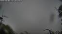 ./images/calvert/fitz-hugh-hecate/20250525/fitz-hugh-hecate20250525_093010M.jpg
