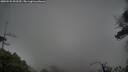 ./images/calvert/fitz-hugh-hecate/20250525/fitz-hugh-hecate20250525_093509M.jpg