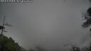 ./images/calvert/fitz-hugh-hecate/20250525/fitz-hugh-hecate20250525_094010M.jpg