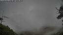 ./images/calvert/fitz-hugh-hecate/20250525/fitz-hugh-hecate20250525_095009M.jpg