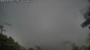 ./images/calvert/fitz-hugh-hecate/20250525/fitz-hugh-hecate20250525_095509M.jpg