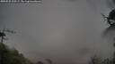./images/calvert/fitz-hugh-hecate/20250525/fitz-hugh-hecate20250525_100509M.jpg