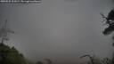 ./images/calvert/fitz-hugh-hecate/20250525/fitz-hugh-hecate20250525_101009M.jpg