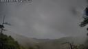 ./images/calvert/fitz-hugh-hecate/20250525/fitz-hugh-hecate20250525_102509M.jpg