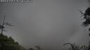 ./images/calvert/fitz-hugh-hecate/20250525/fitz-hugh-hecate20250525_103509M.jpg