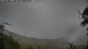 ./images/calvert/fitz-hugh-hecate/20250525/fitz-hugh-hecate20250525_104010M.jpg