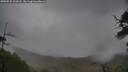 ./images/calvert/fitz-hugh-hecate/20250525/fitz-hugh-hecate20250525_104508M.jpg