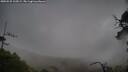 ./images/calvert/fitz-hugh-hecate/20250525/fitz-hugh-hecate20250525_105009M.jpg