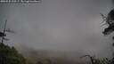 ./images/calvert/fitz-hugh-hecate/20250525/fitz-hugh-hecate20250525_105508M.jpg